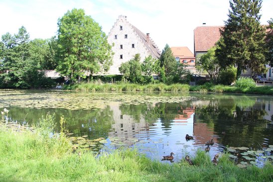 Ortsweiher Heiligkreuztal